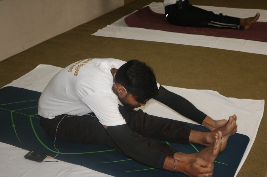 Yoga pose - tree pose